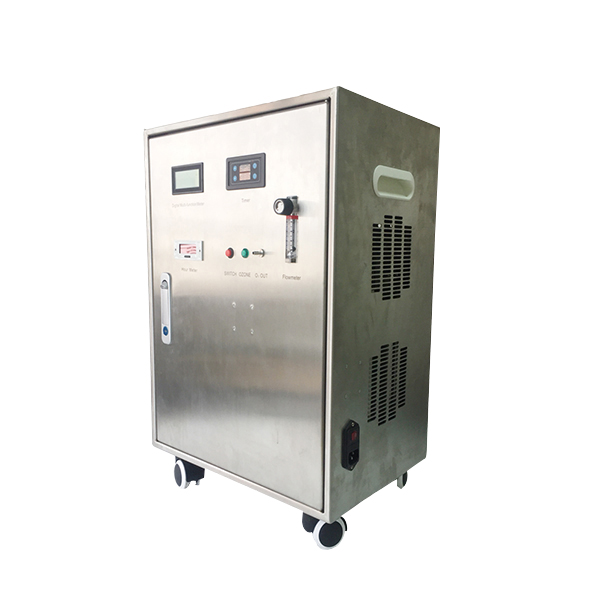 Ozone air machine valuable fruit and vegetables washing equipment ozone food sterilizer (2022)