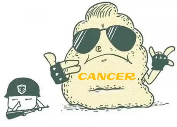 Anti-cancer effects of ozone​