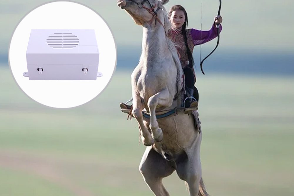 Hunting Covering Hunting Covering