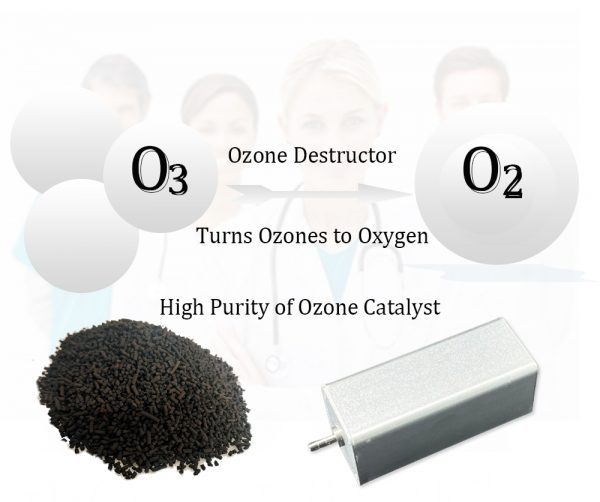 ozone destuctor 10